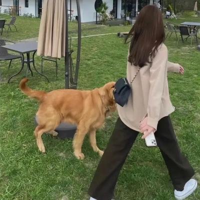 爱丽丝与杰克