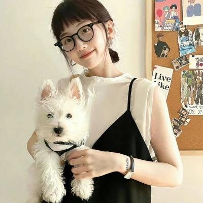 闪电狗